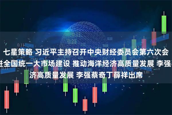 七星策略 习近平主持召开中央财经委员会第六次会议强调 纵深推进全国统一大市场建设 推动海洋经济高质量发展 李强蔡奇丁薛祥出席