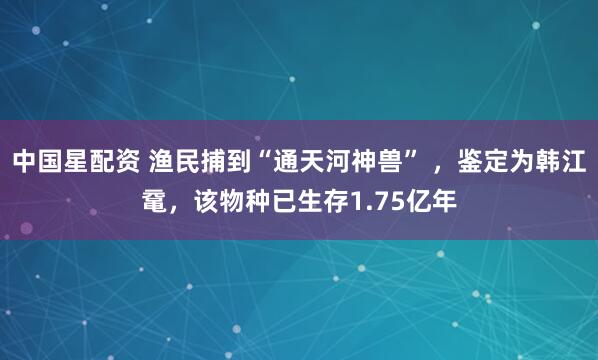 中国星配资 渔民捕到“通天河神兽” ，鉴定为韩江鼋，该物种已生存1.75亿年